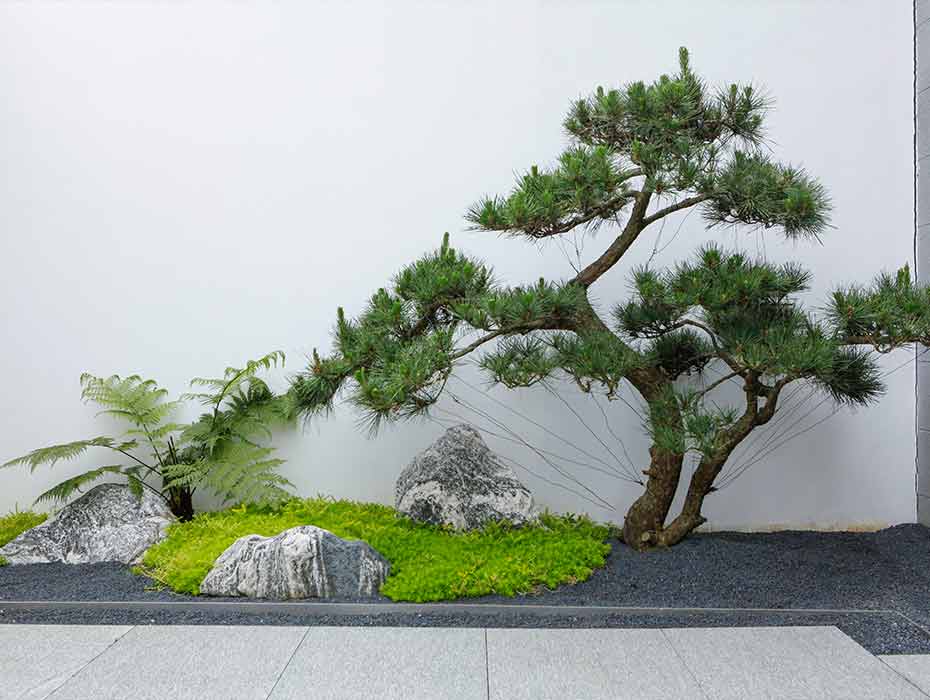 萬科(kē)•白(bái)鹭郡